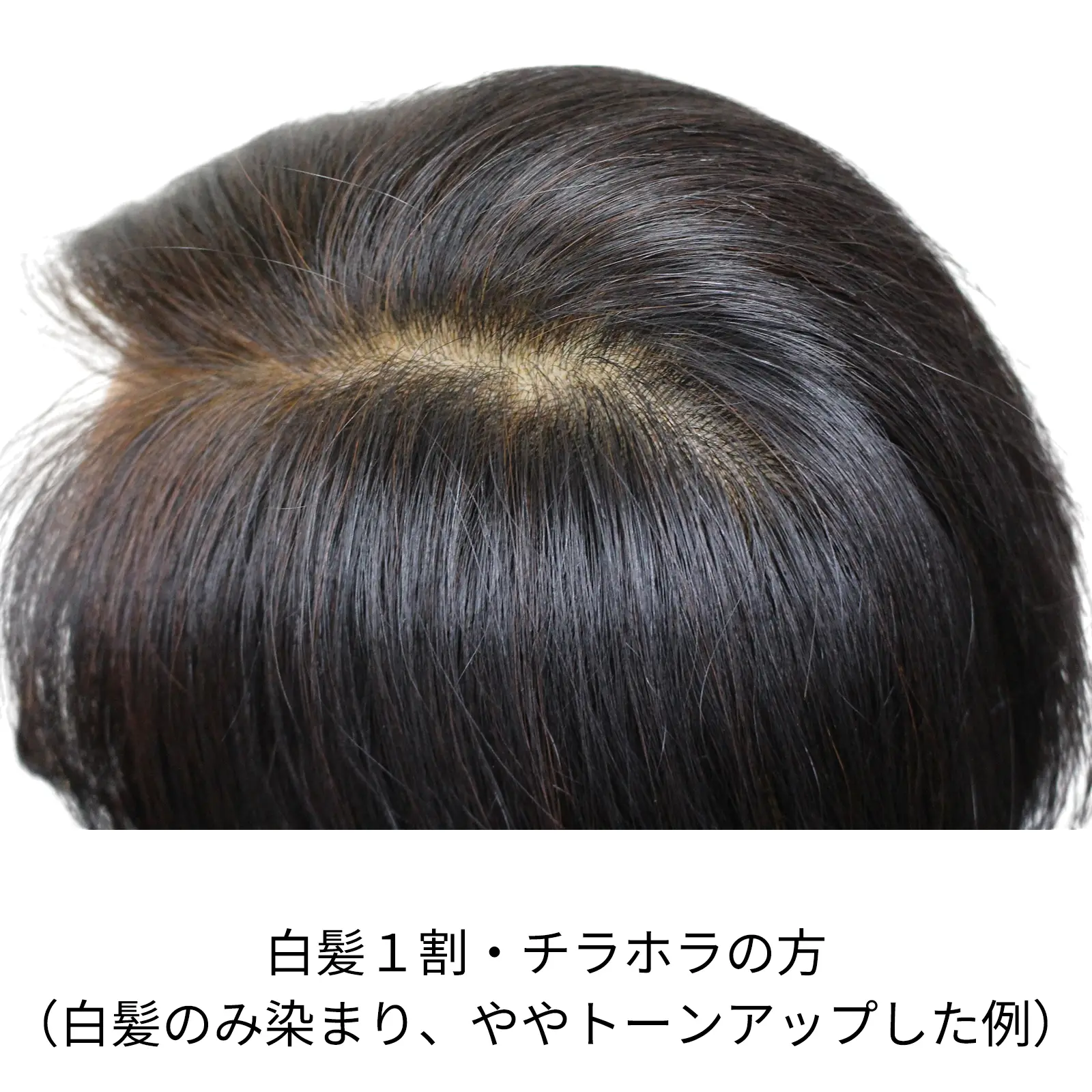 �ӥ�������� ���꡼��Ρ��ȥإ� �������ˡ���
