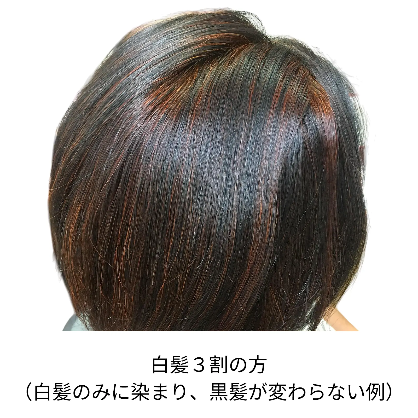 �ӥ�������� ���꡼��Ρ��ȥإ� �������ˡ���
