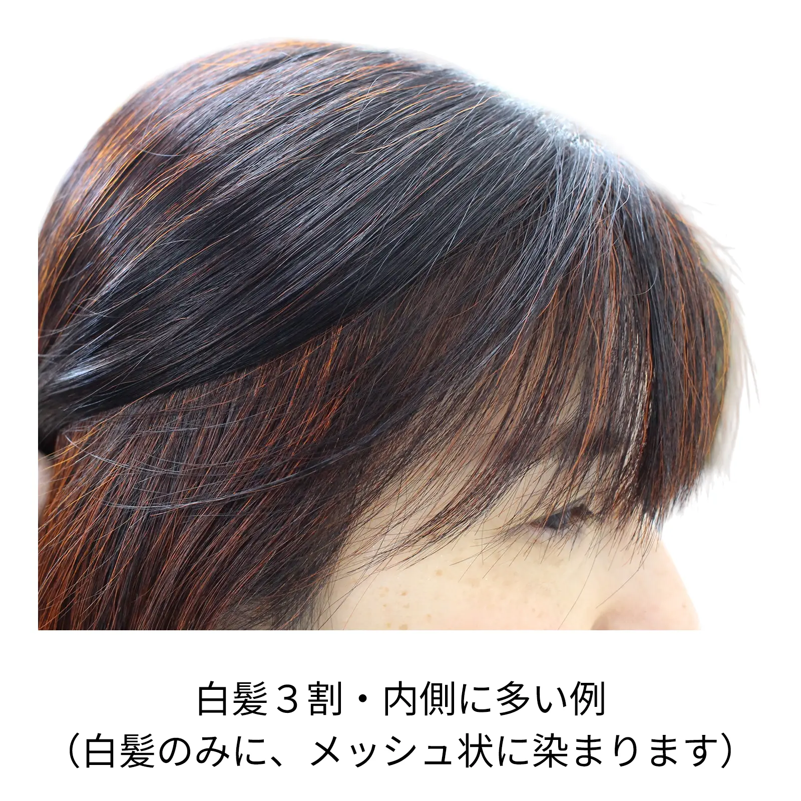 �ӥ�������� ���꡼��Ρ��ȥإ� �������ˡ���