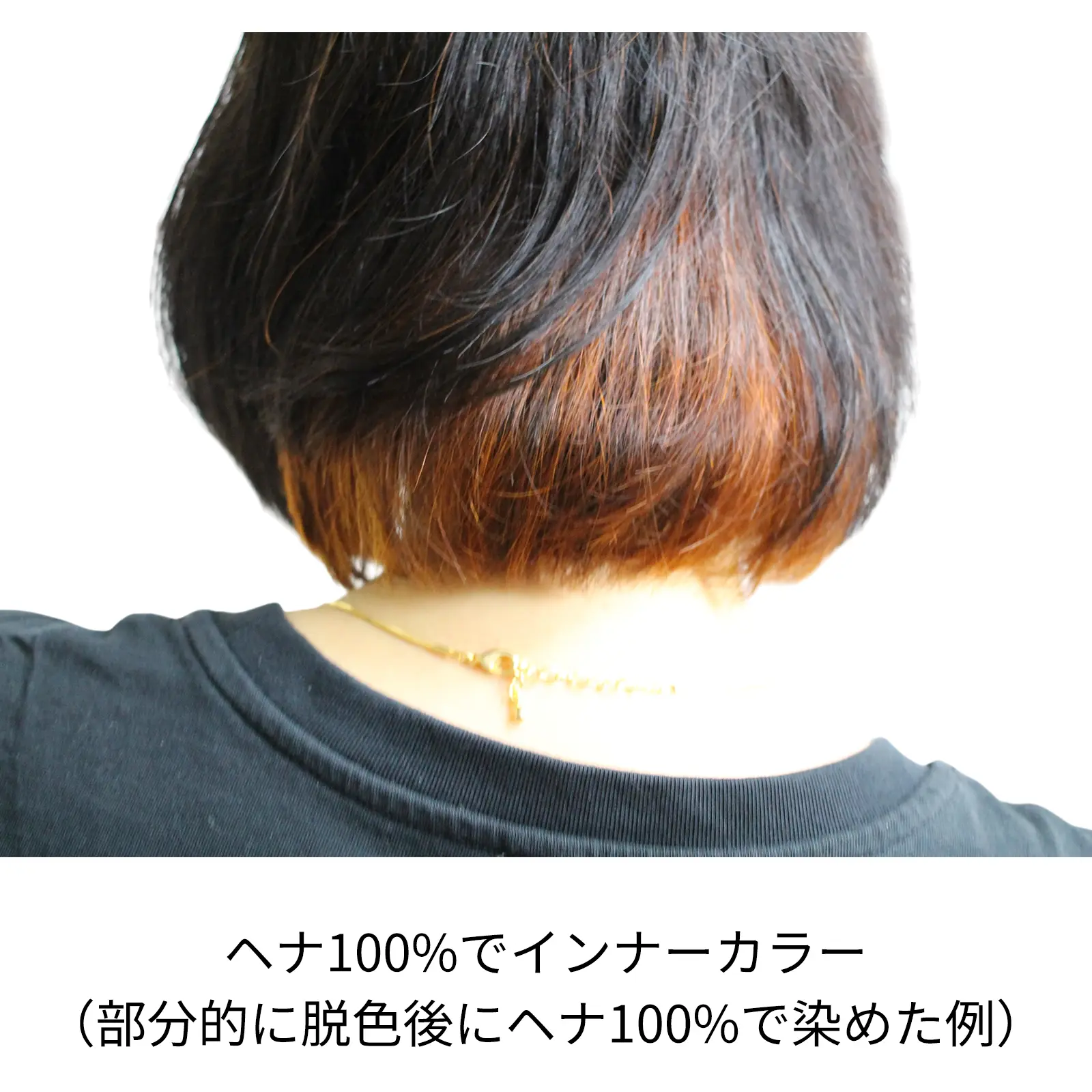 �ӥ�������� ���꡼��Ρ��ȥإ� �������ˡ���