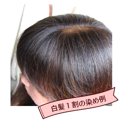 �ӥ�������� ���꡼��Ρ��ȥإ� �������ˡ���