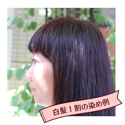 �ӥ�������� ���꡼��Ρ��ȥإ� �������ˡ���