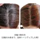 �ӥ�������� ���꡼��Ρ��ȥإ� �������ˡ���