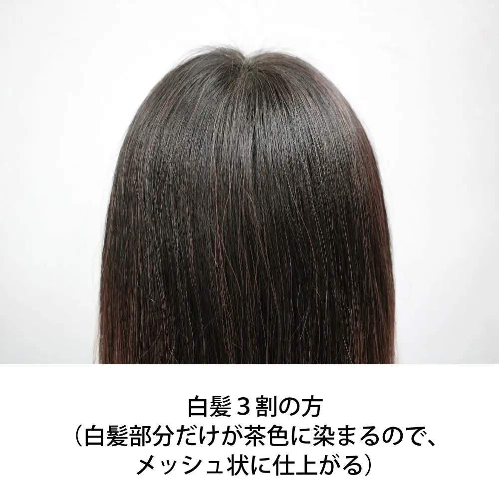�������֥饦��������ᡦǻ������� ���꡼��Ρ��ȥإ� �������ˡ���