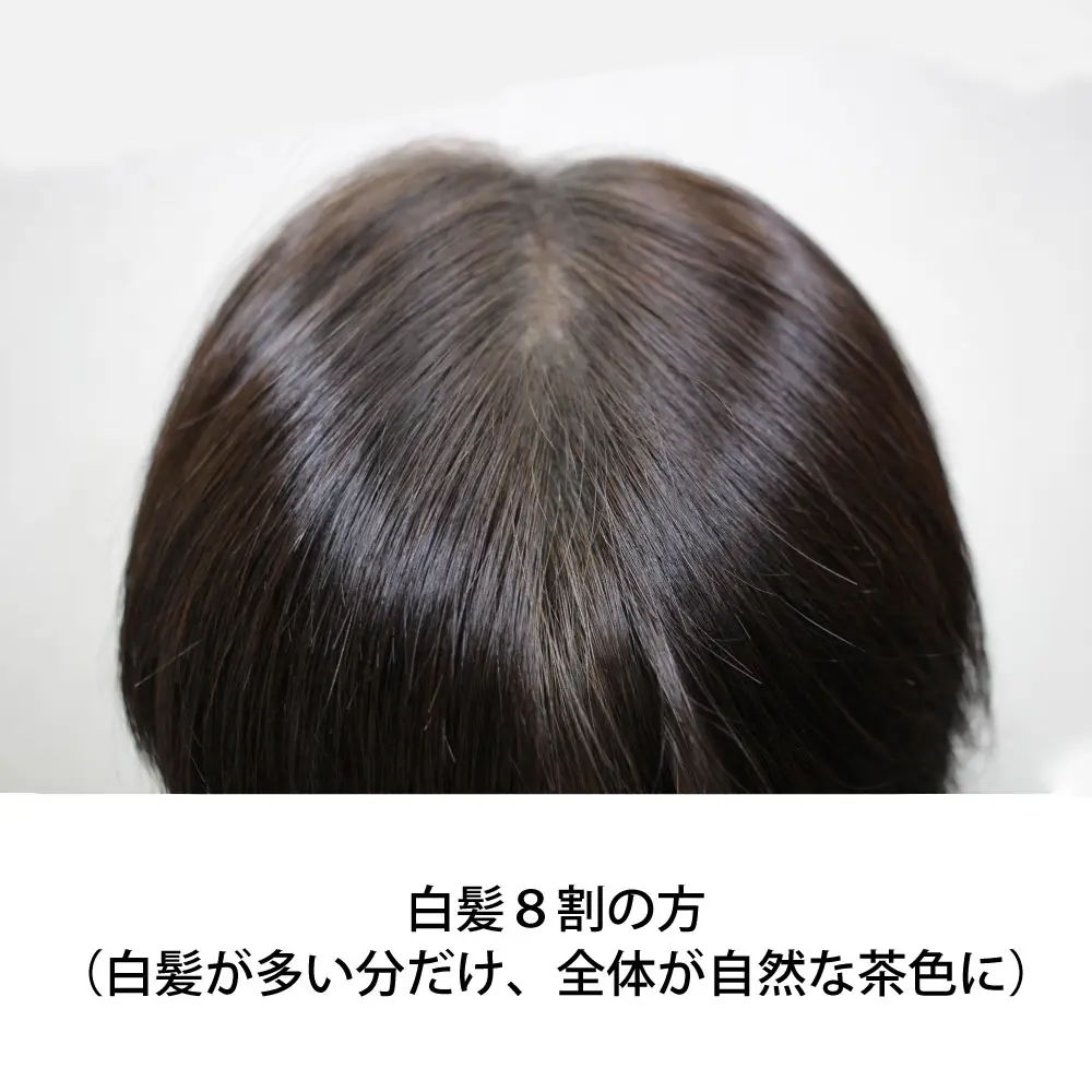 �������֥饦��������ᡦǻ������� ���꡼��Ρ��ȥإ� �������ˡ���