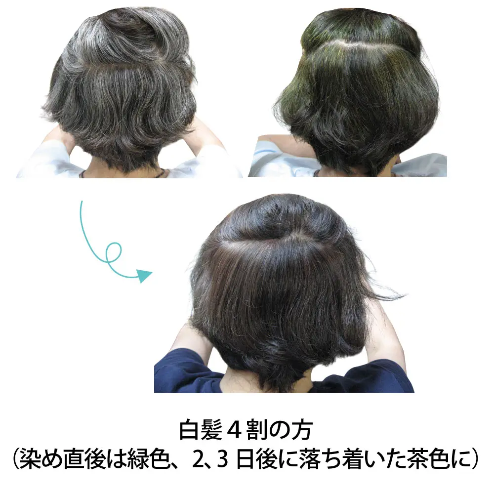 �������֥饦��������ᡦǻ������� ���꡼��Ρ��ȥإ� �������ˡ���