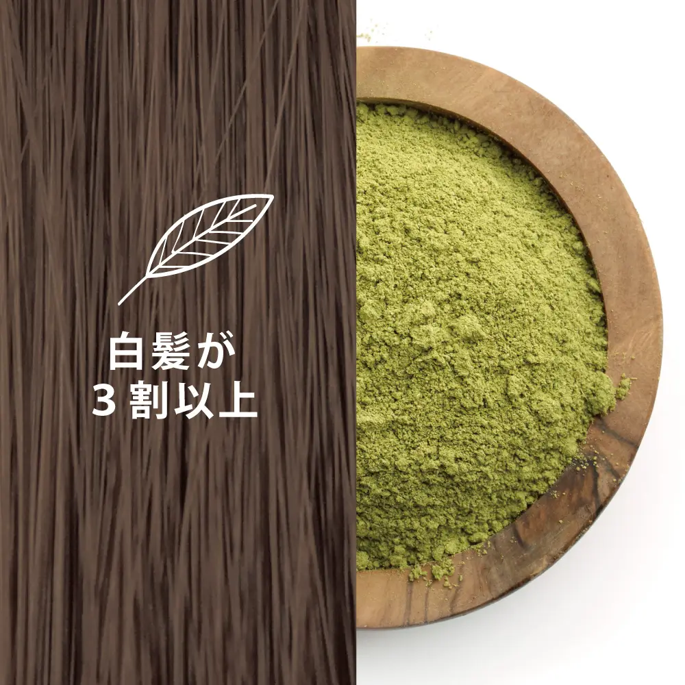 �������֥饦��������ᡦǻ������� ���꡼��Ρ��ȥإ� �������ˡ���