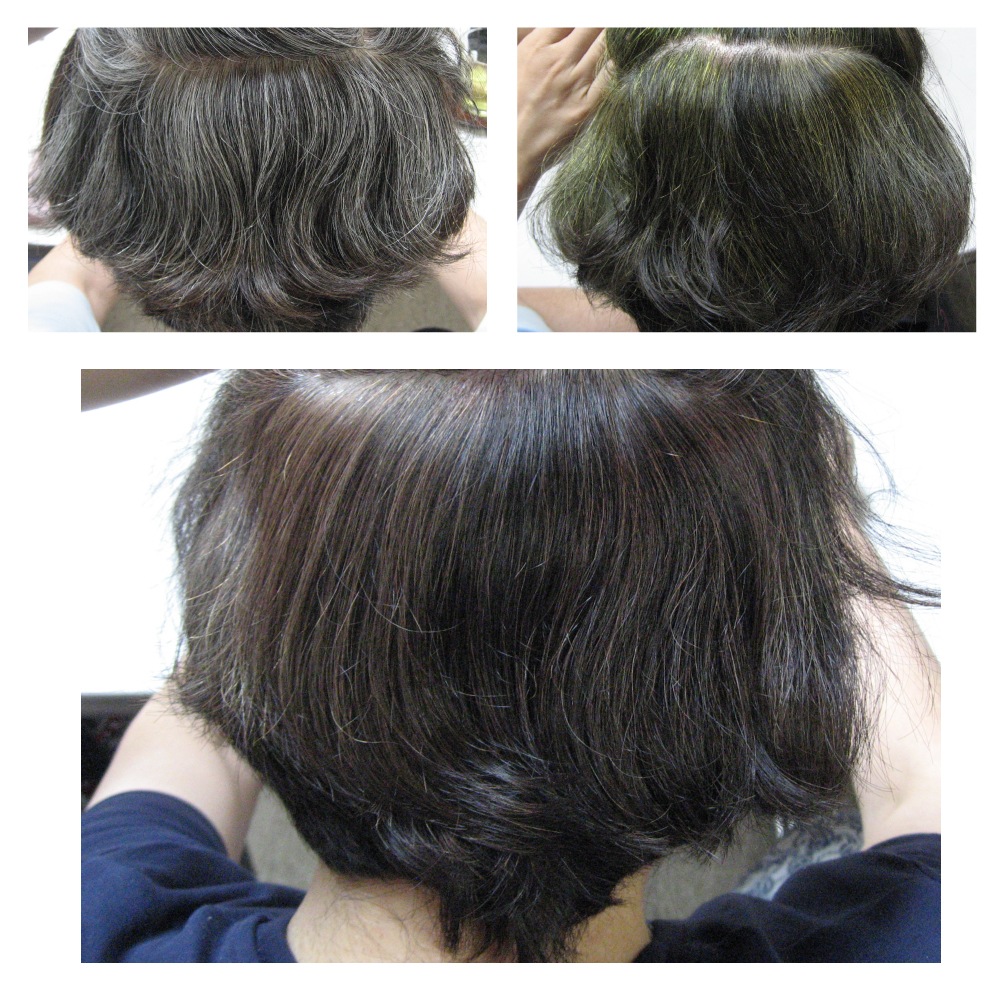 �������֥饦��������ᡦǻ������� ���꡼��Ρ��ȥإ� �������ˡ���