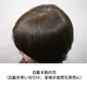 �������֥饦��������ᡦǻ������� ���꡼��Ρ��ȥإ� �������ˡ���