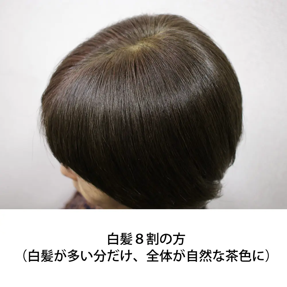 アースブラウン初心者セット｜オーガニック認証ヘナ・オーガニータ