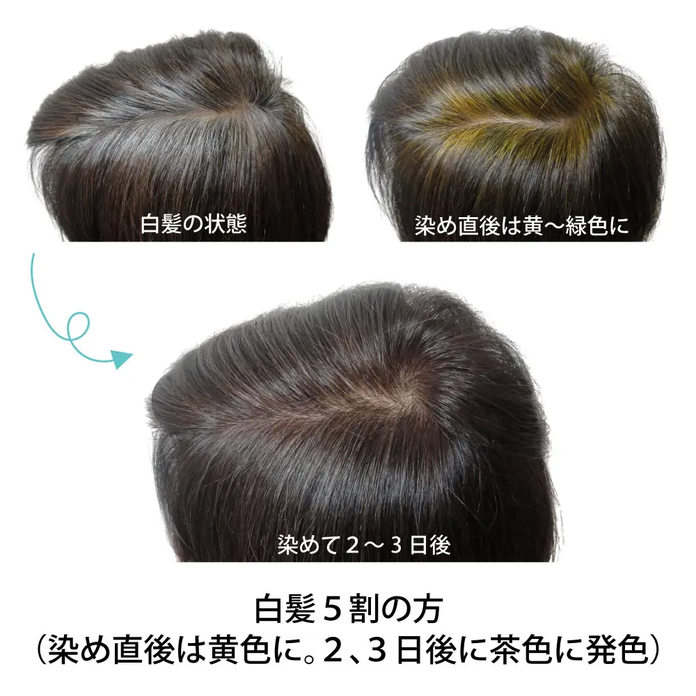 �������֥饦�� �إʽ鿴�ԥ��åȡ������ᡦǻ������ˡ��������˥å�ǧ�ڥ�����