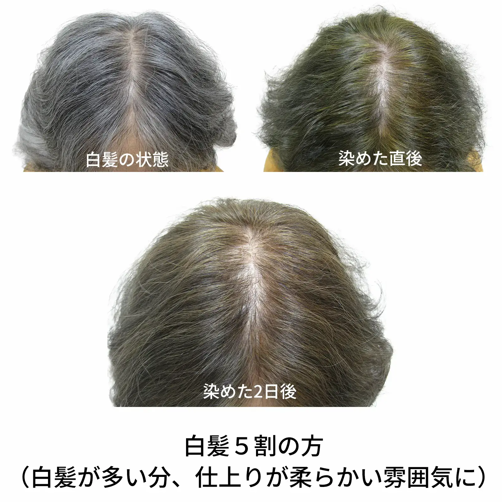 ���ϥ�֥饦�󡡥��꡼��Ρ��ȥإʡ��������˥å�ǧ�ڥ�����