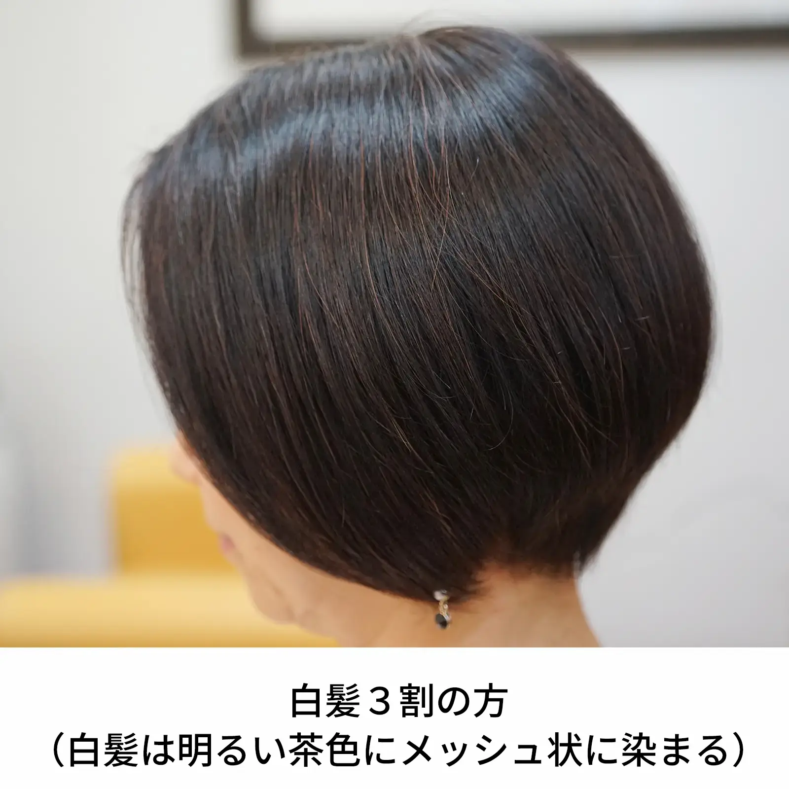 サハラブラウン｜オーガニック認証ヘナ｜オーガニータ｜ヘナ・白髪染め