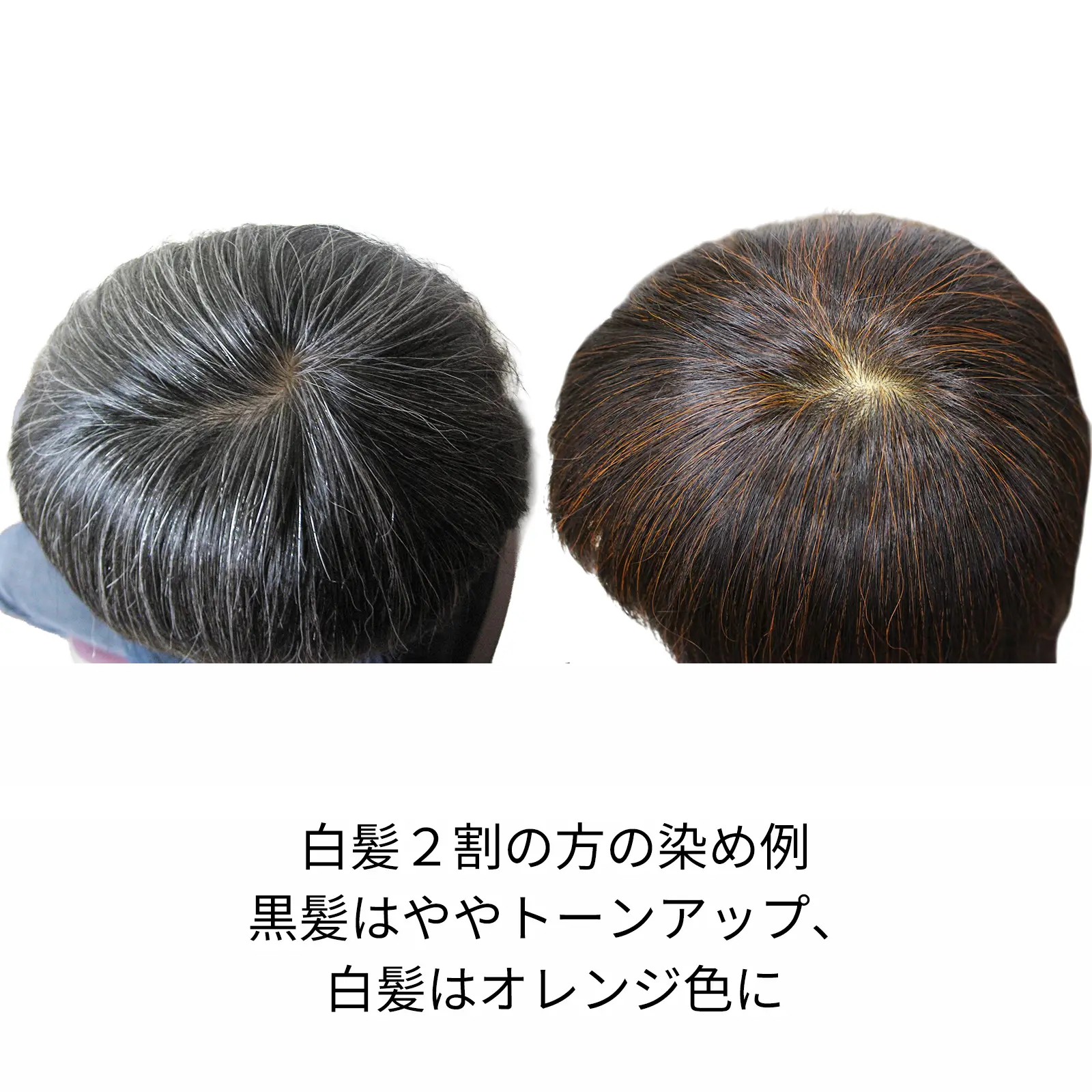 �ӥ�������󥸡��إʽ鿴�ԥ��åȡ��������˥å�ǧ�ڥ�����