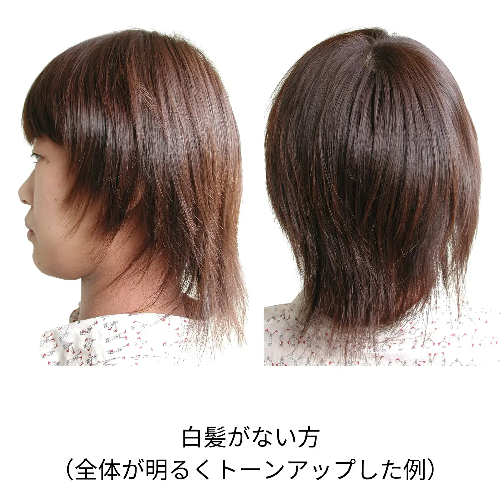�ӥ�������󥸡��إʽ鿴�ԥ��åȡ��������˥å�ǧ�ڥ�����