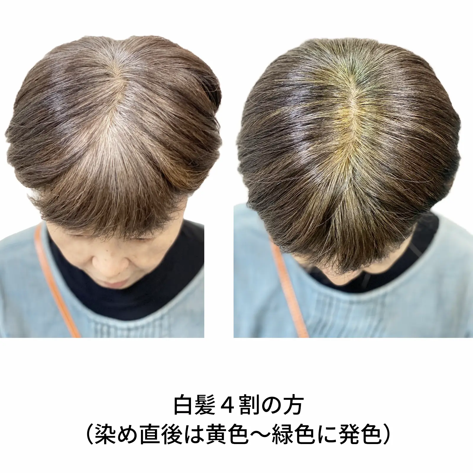 ���ϥ�֥饦�󡡥إʽ鿴�ԥ��åȡ��������˥å�ǧ�ڥ�����