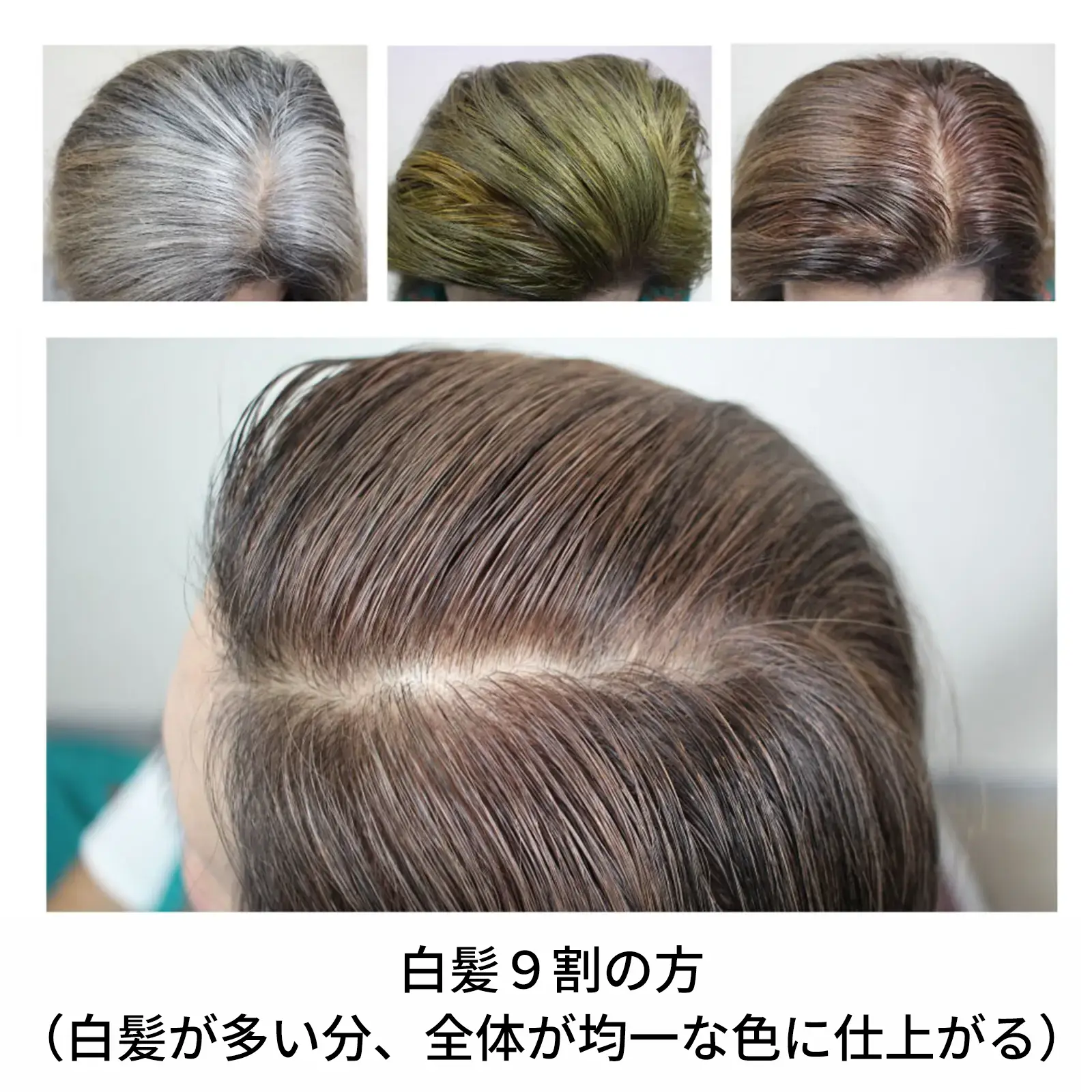 ���ϥ�֥饦�󡡥إʽ鿴�ԥ��åȡ��������˥å�ǧ�ڥ�����