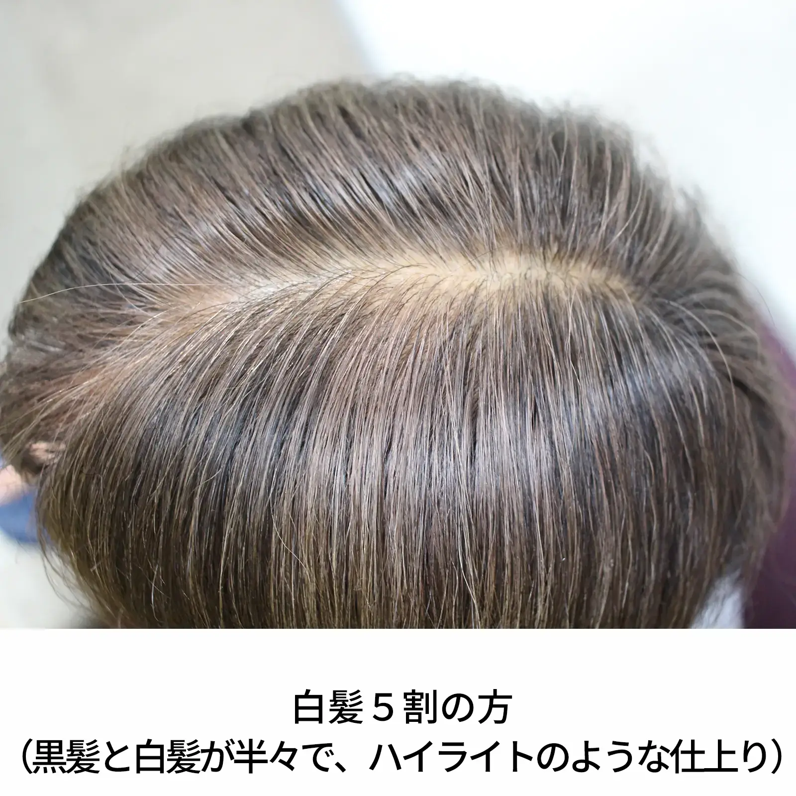 ���ϥ�֥饦�󡡥إʽ鿴�ԥ��åȡ��������˥å�ǧ�ڥ�����