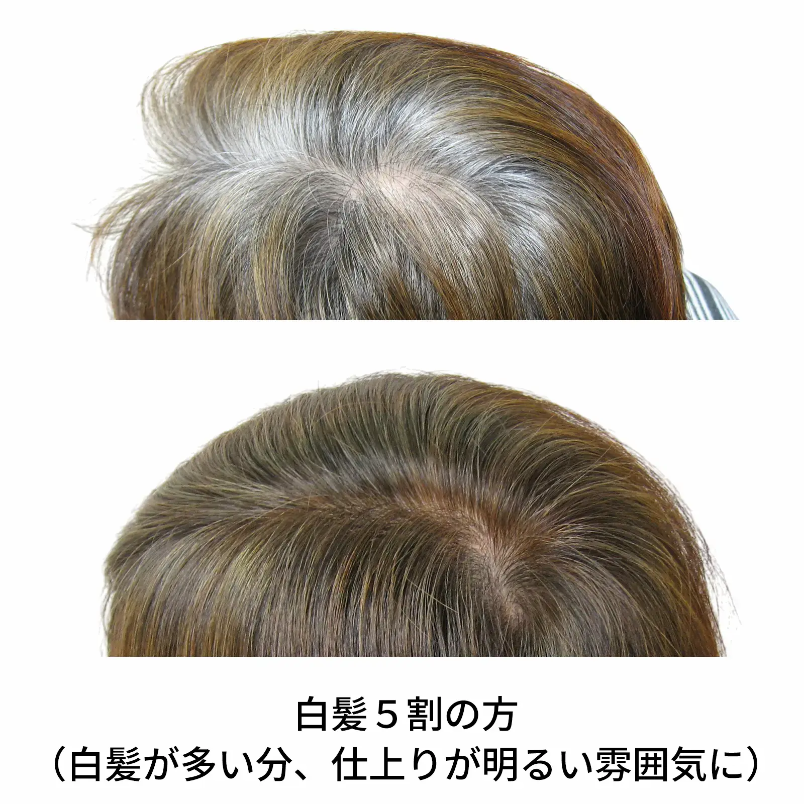 ���ϥ�֥饦�󡡥إʽ鿴�ԥ��åȡ��������˥å�ǧ�ڥ�����
