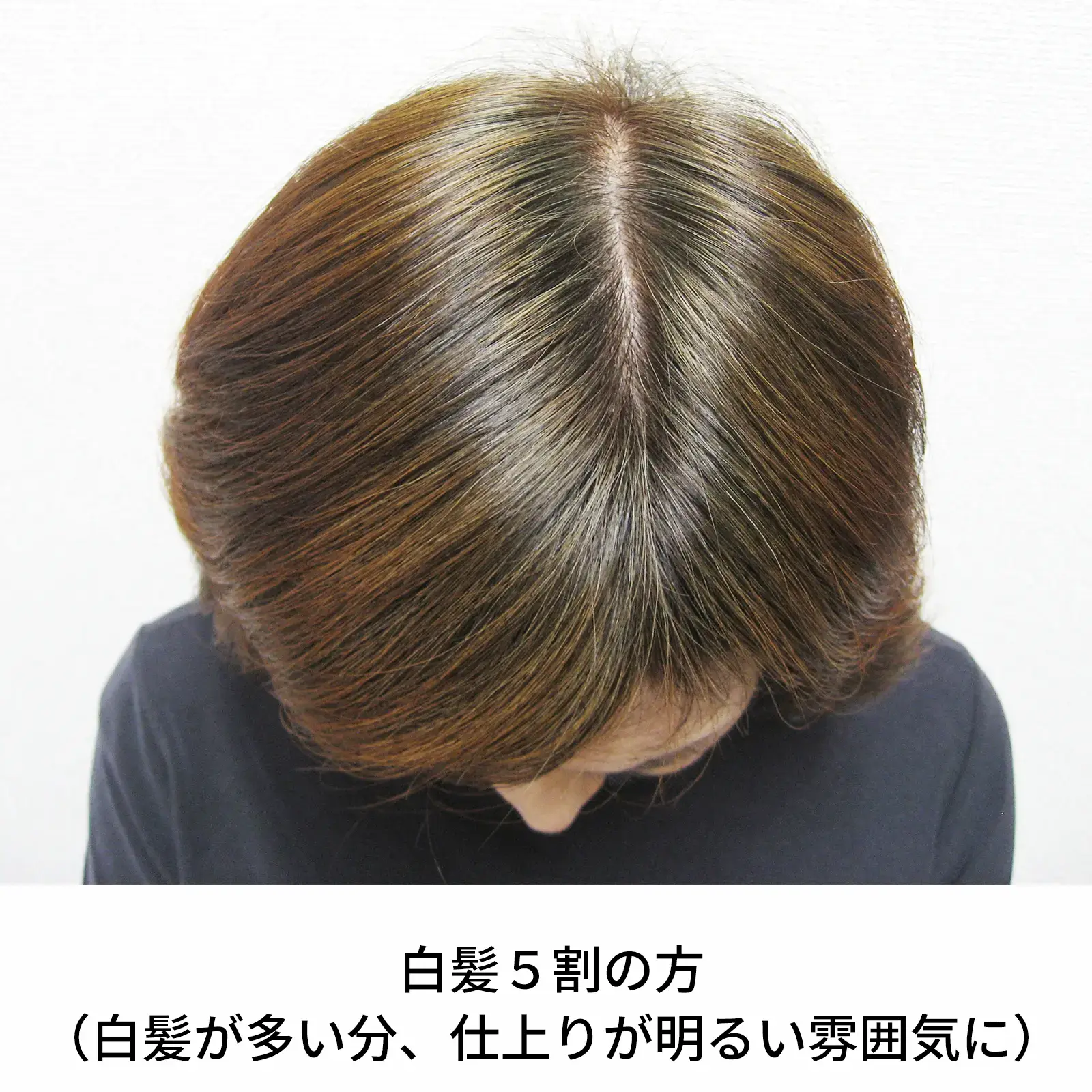 ���ϥ�֥饦�󡡥إʽ鿴�ԥ��åȡ��������˥å�ǧ�ڥ�����