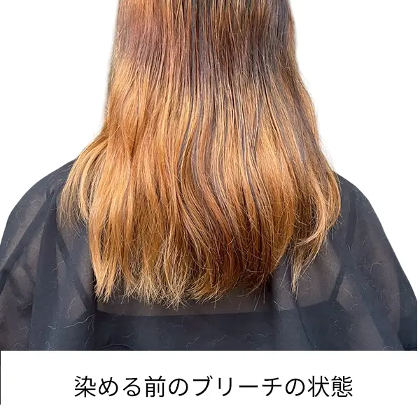 ��ʬ�������ȱ���ȱ�ᤷ�ˡ��إʣ������᥻�å�|����󥸥֥饦��ܥʥ�����֥饦��