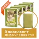�����ѡ��֥饦���������� �إ�5�ĥ��åȡ�1��̵�������ӥ�