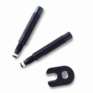 SCHWALBE (シュワルベ) バルブエクステンション2個入り (シルバー 17mm) [並行輸入品] SCHWALBE(シュワルベ) バルブエクステンション（黒） VALVE