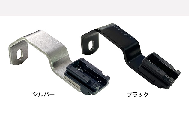 極上 モンステラ エレクトロライト B 極上 モンステラ エレクトロライト B