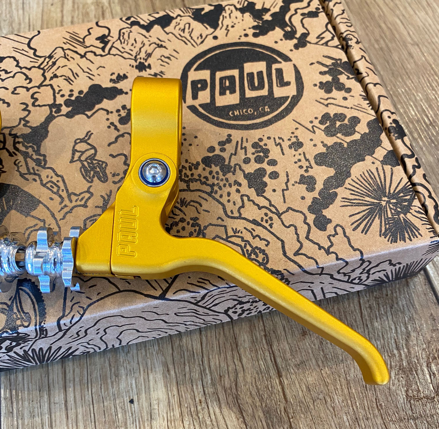 PAUL(�ݡ���)��CANTI LEVER���������С��ں������åȡۡڥ��顼��������ɡ�