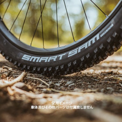 SCHWALBE(�������)��SMART SAM�����ޡ��ȥ��ࡡ20��2.35 (ETRTO��60-406)  �֥�å���1�ܡ�