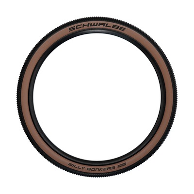 SCHWALBE(�������)���ӥ꡼�ܥ󥫡�����20��2.00 (ETRTO��50-406)  �֥��󥺡�1�ܡ�