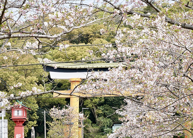 �ɼ�¿� �� 25�� 720ml��