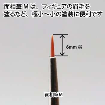 {$item.name}