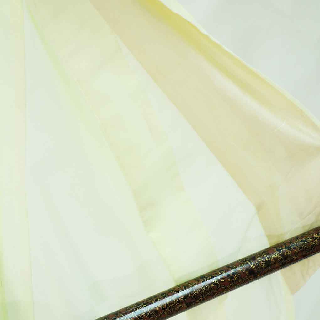 訪問着 リサイクル着物 身丈161cm 裄66cm 前幅24cm 後幅31cm 袖丈49cm 袖幅33cm レディース 菖蒲 裄長 裄M-Lサイズ 夏用 ポリエステル グリーン やや難 リメイク リユース【ランクB】