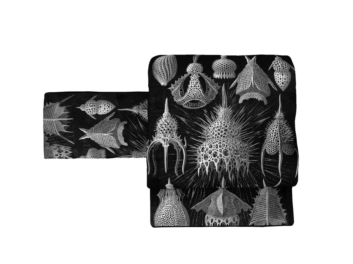 京袋帯　FU2203050