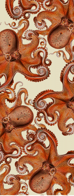 手ぬぐい　TN51803