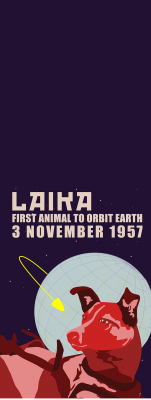 手ぬぐい　TN51811