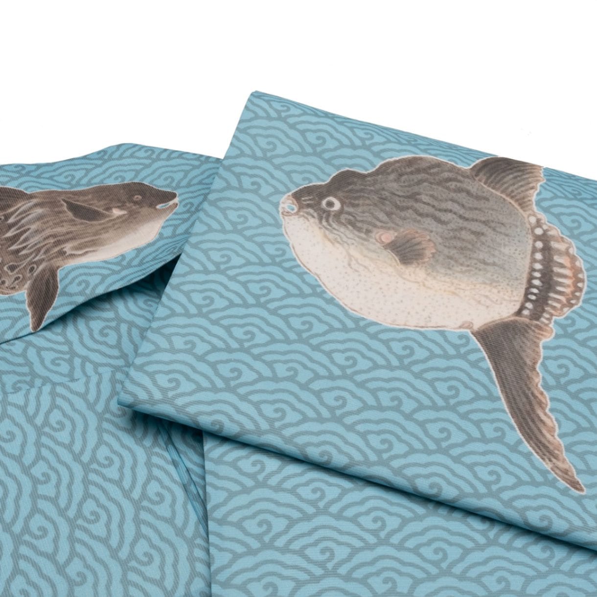 即納品　絽名古屋帯　sFU503967bn