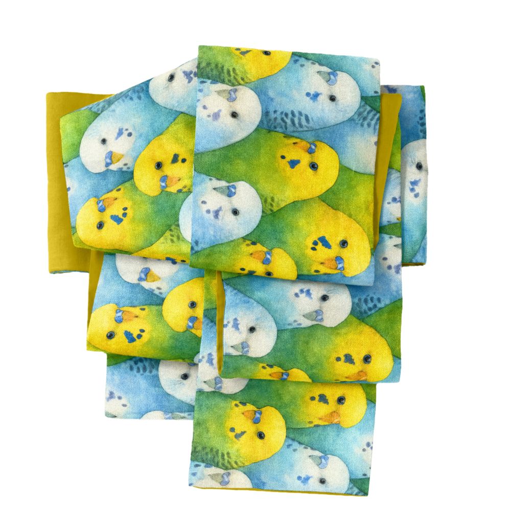 半幅帯　FH25072401