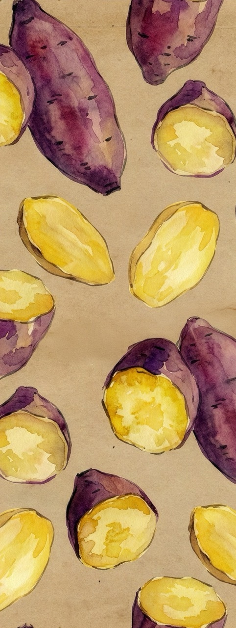 半幅帯　FH26020401