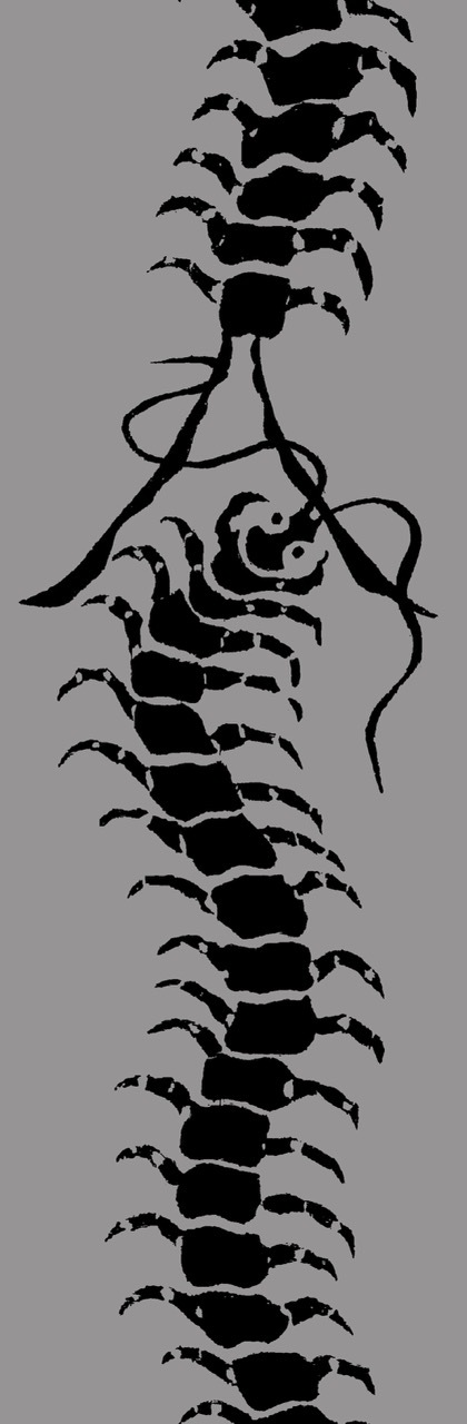 半幅帯　FH25090601