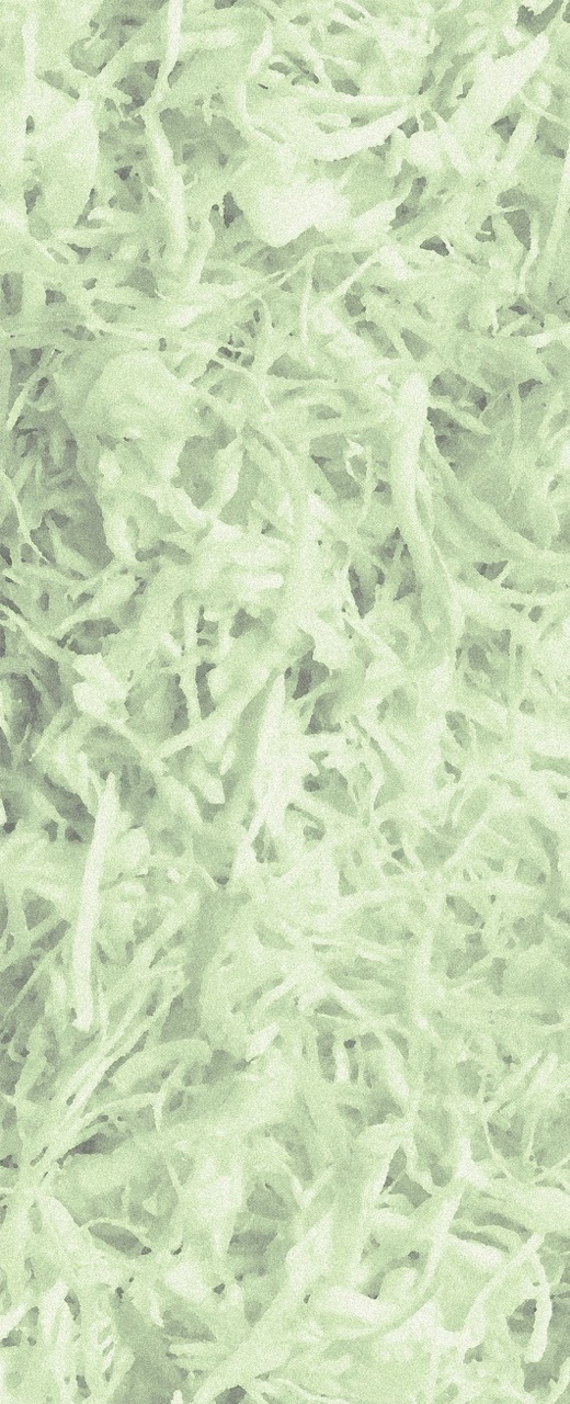 半幅帯　FH25082001