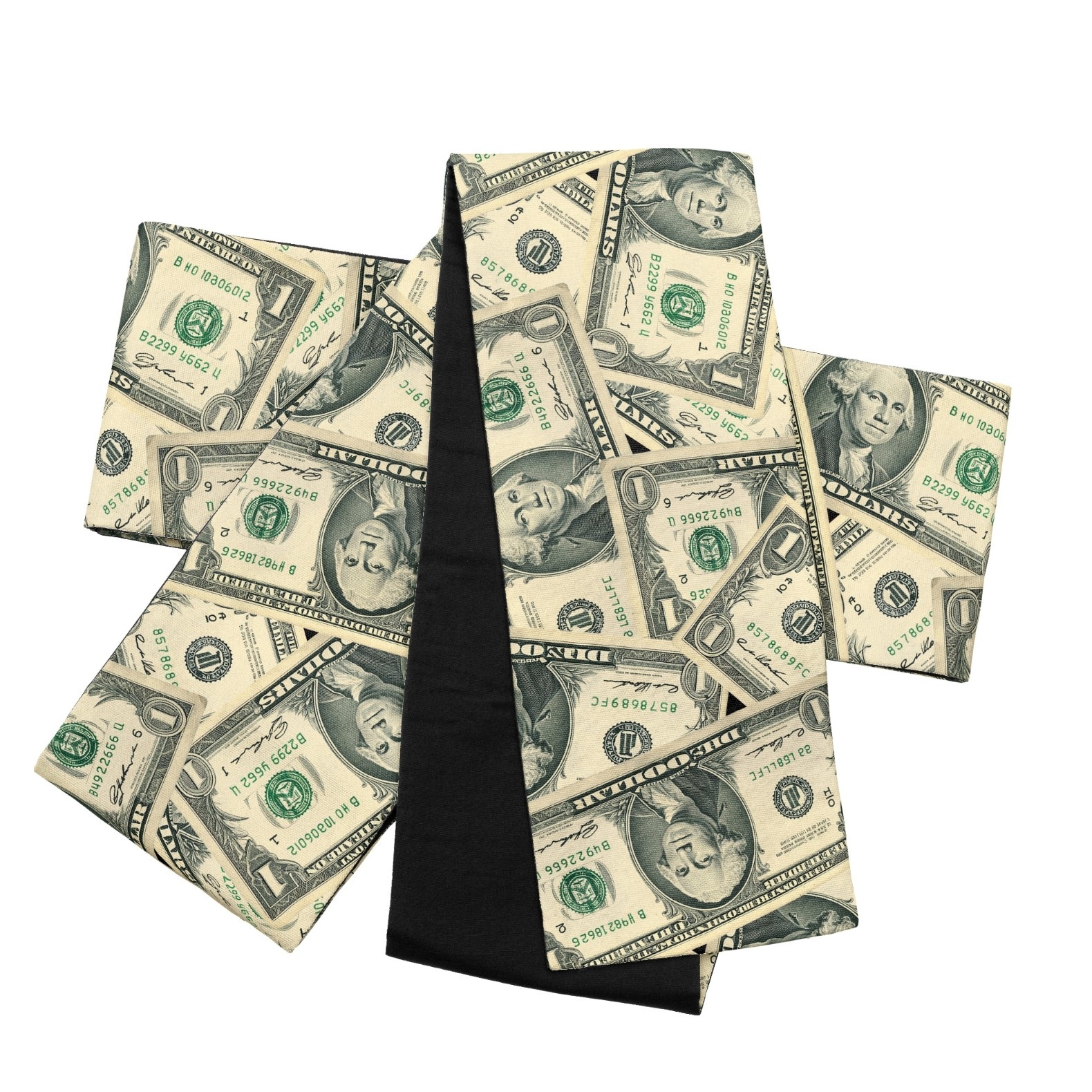 半幅帯 FH202522201