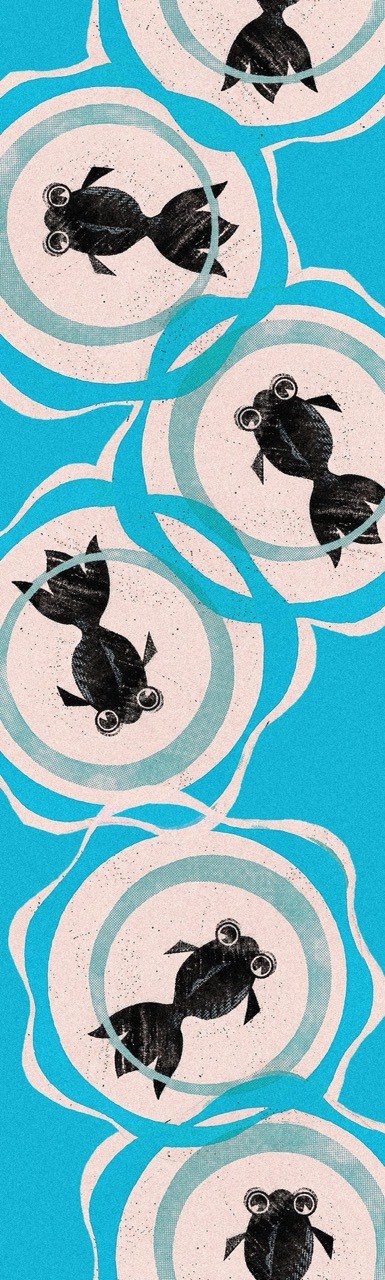 半幅帯　FH26030801