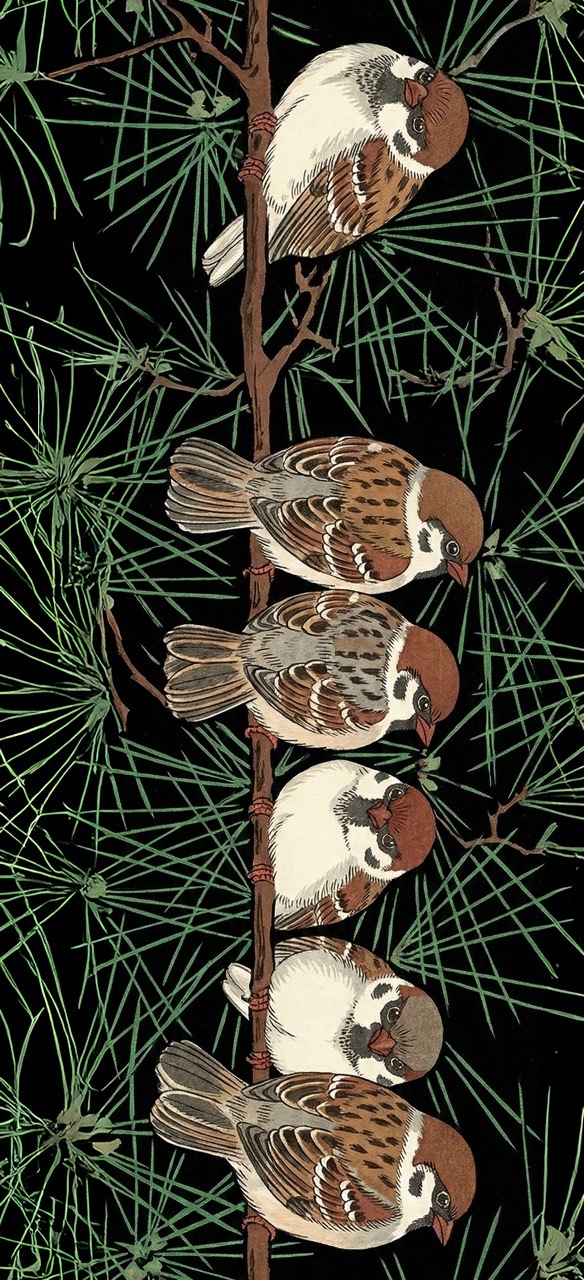 半幅帯　FH26011901