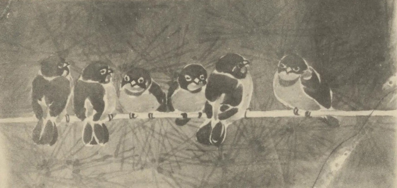 半幅帯　FH26011901