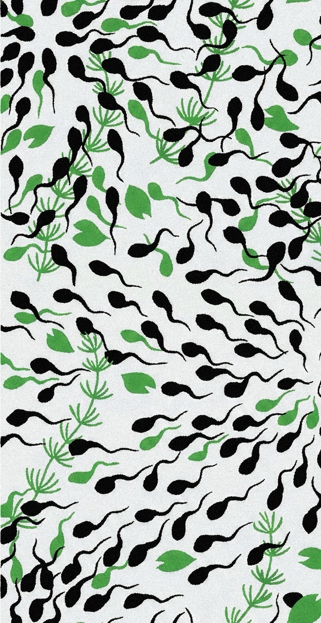 半幅帯　FH26011902