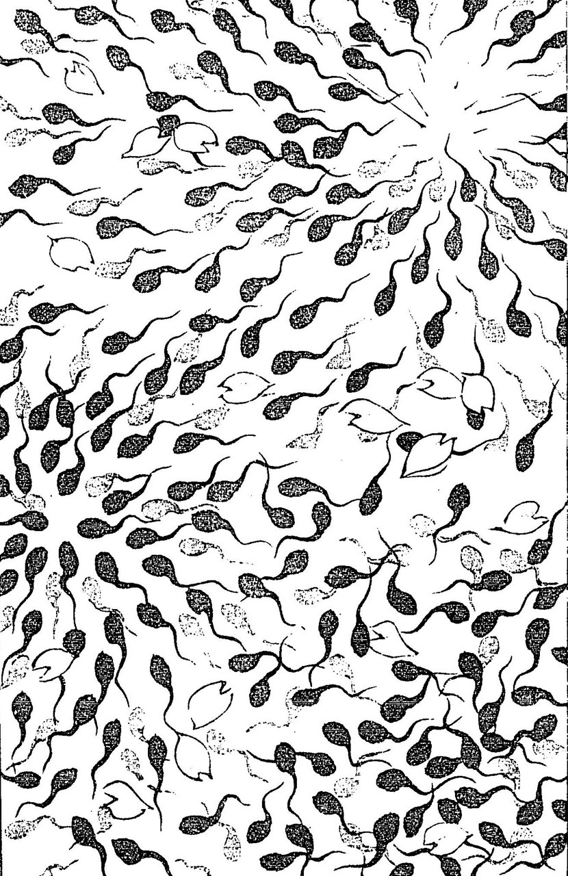 半幅帯　FH26011902