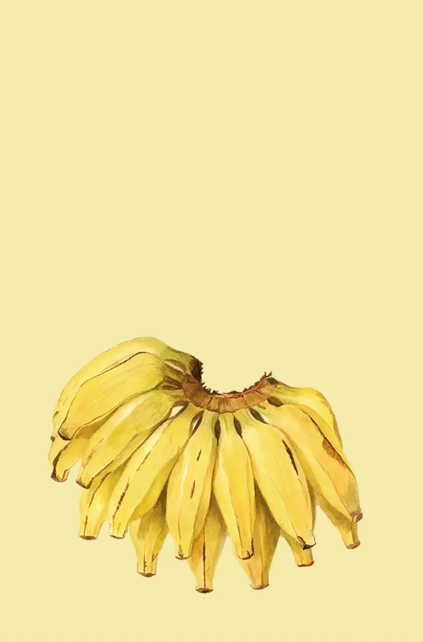 （絵羽） 着物　MJ82209