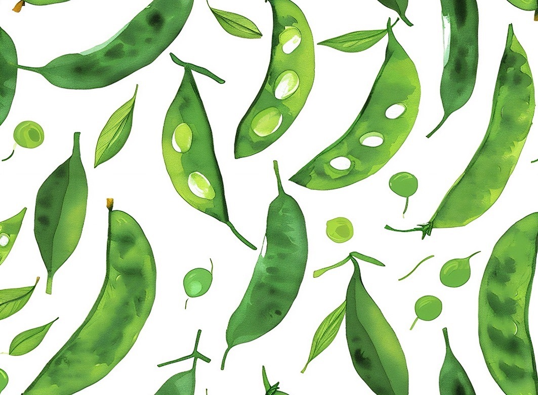 半襟　he2024010701